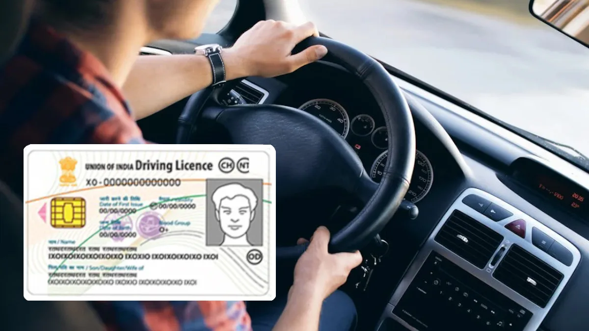 driver's licence rules