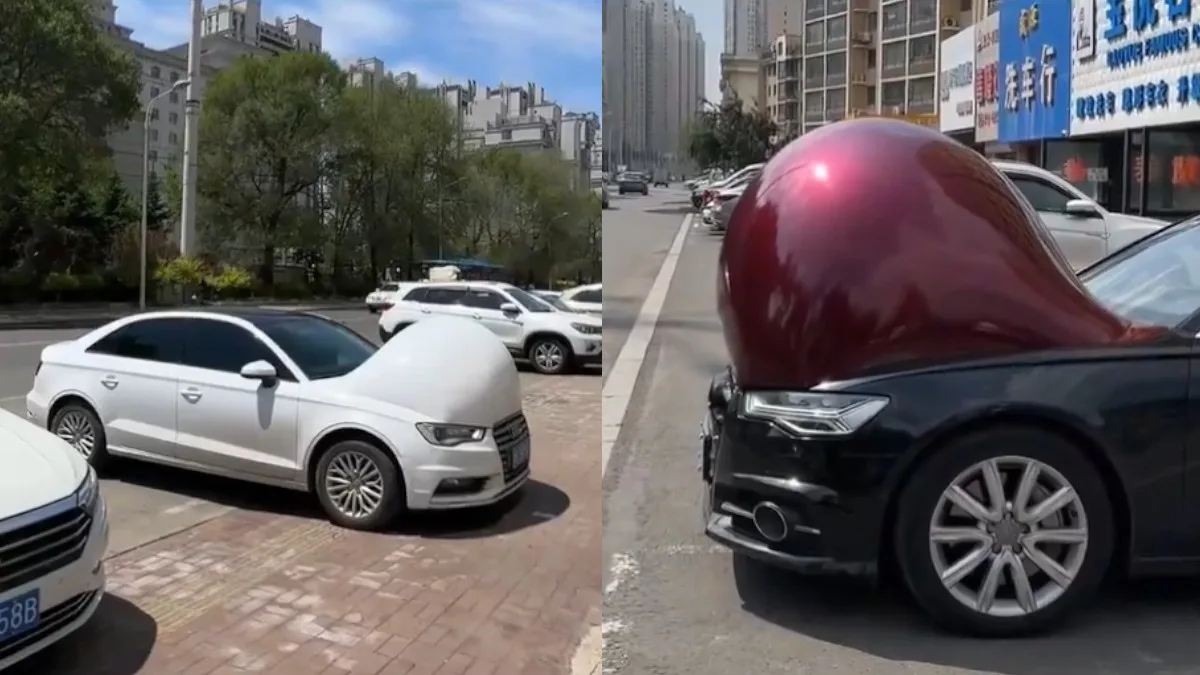 China's Cars Look Pregnant