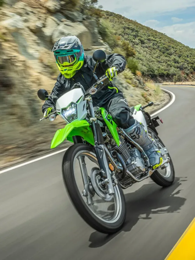 Kawasaki KLX 230 S: New Streetfighter Coming to India